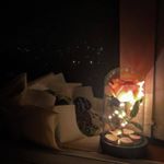 Profile Picture of 새벽달 (@dawnmoon1218) on Instagram