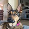 Profile Picture of Elizabeth Luster (@egl0838) on Pinterest