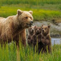 Julianna Zimmer (student) - Quora Profile Picture of Julianna Zimmer (student) (@julianna-zimmer-student) on Quora