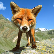 Profile Picture of Adam Schmitz (@adamschmitz2456) on Youtube