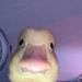Profile Picture of Brynn Phillips (@brynnphillips02) on Pinterest