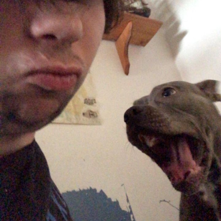 Profile Picture of Andrew Ehrhart (@andrew_ehrhart) on Tiktok