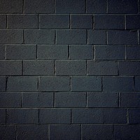 Profile Picture of Tyler Carlos (@tyler-carlos-2) on Quora