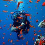 Profile Picture of Dima Kryzhevsky (@kryzhevsky) on Instagram