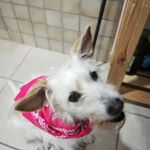 Profile Picture of Lisa (@lisamiaminu) on Instagram