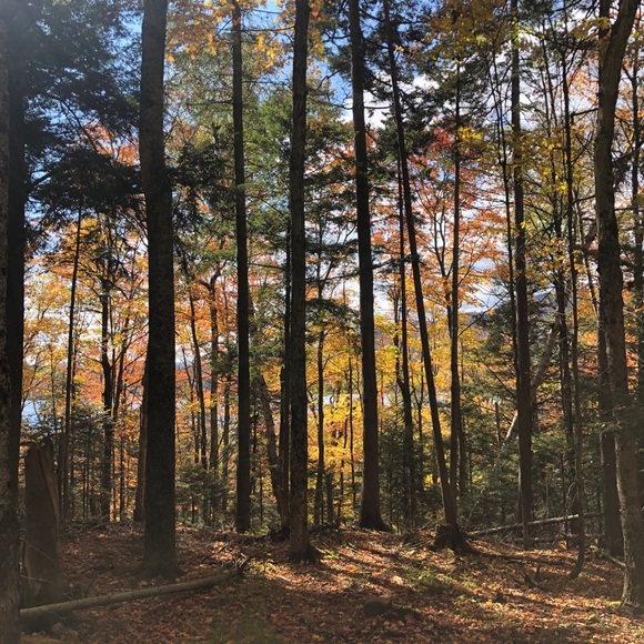 Profile Picture of Kiana Canuel (@kiana_canuel) on Poshmark