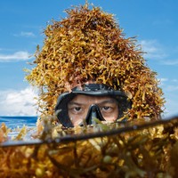 Profile Picture of Eric Cheng (@eric-cheng-38) on Quora