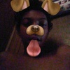 Profile Picture of Michael Fayson (@michaelfayson) on Tiktok