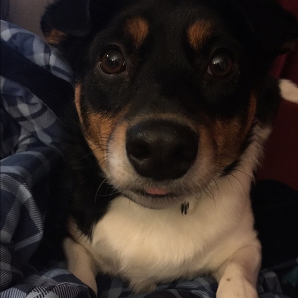 Kylee Mellinger - Poshmark Profile Picture of Kylee Mellinger (@kmellinger) on Poshmark