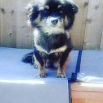 Profile Picture of Alex burman (@reptibiler) on Instagram