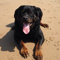 Profile Picture of Amir Azad (@amir-azad-18) on Quora