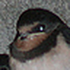 Profile Picture of Malcolm Wade (@malcolmwade) on Flickr
