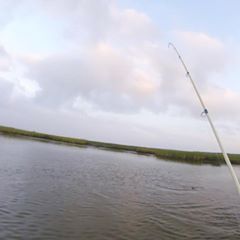 Profile Picture of Steve Silvas (@kayaking_coach) on Tiktok