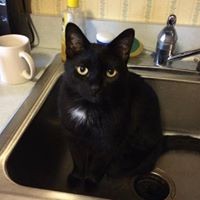 Profile Picture of Debbie Detweiler (@debbie-detweiler) on Quora