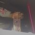 Profile Picture of Isabelle Hall (@isabelle.hall.35513) on Facebook
