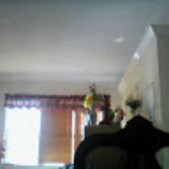 Profile Picture of Alex Truong (@alextruong2004) on Poshmark