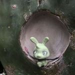 Profile Picture of Sooahn Keem (@soooahn) on Instagram