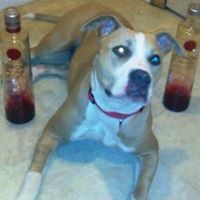 Profile Picture of Rochell Smith (@rochell-smith-8) on Quora