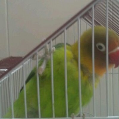 Profile Picture of Isabel Sáez. (@isabelsaez70) on Twitter