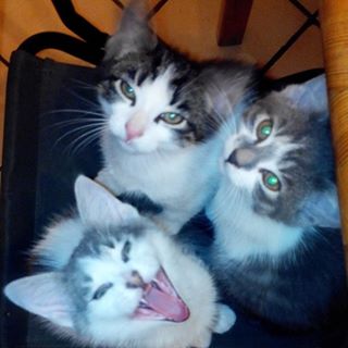 Agnes Grand - Facebook Profile Picture of Agnes Grand (@agnes.grand.946) on Facebook