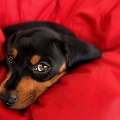 Profile Picture of Brooke Redding (@b202708566d1484) on Twitter