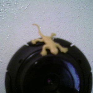 Profile Picture of Patrick Mcgillicuddy (@oh_my_gosh_its_patrick) on Myspace