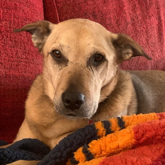 Profile Picture of Brett Bayma (@bkb28) on Poshmark