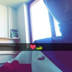 Profile Picture of Joseph Dauner (@@josephdauner) on Tiktok
