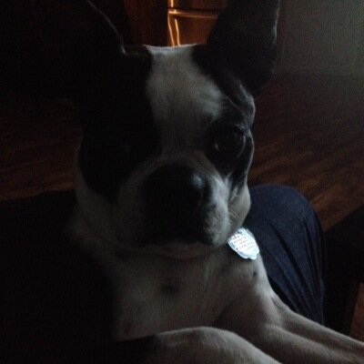 Profile Picture of Ian Cyr (@destrovos) on Twitter