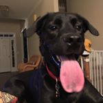 Scott braverman - Instagram Profile Picture of Scott braverman (@braverman.scott) on Instagram