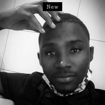 Profile Picture of Swiss Kevin (@SwissKevin1) on Twitter