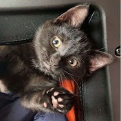 Profile Picture of Alexandra Tudor (@alexandratudor3326) on Youtube