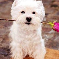 Profile Picture of Janey Morgan (@janey.morgan.7) on Facebook