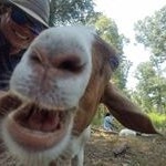 Profile Picture of Adam Pantola (@adampantola) on Instagram