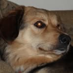 Profile Picture of Gary Scheuch (@gary.scheuch.800632) on Facebook