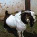Profile Picture of Chris Hanlon (@chris.hanlon.5623) on Facebook