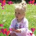 Profile Picture of Dawn Pennell (@dawn.pennell.71) on Facebook