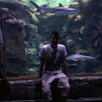 Profile Picture of Mark Howard (@mark-howard-62) on Quora