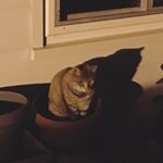 Profile Picture of Rebecca Hahn (@beccahahn67) on Instagram
