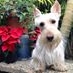 Profile Picture of Carol Herd (@Carol-Herd) on Facebook