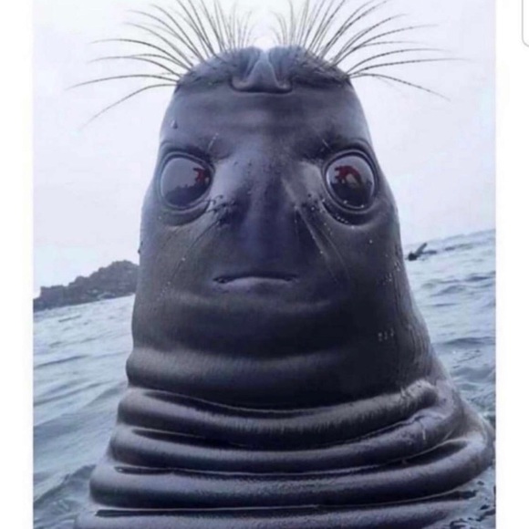 Profile Picture of Jalaya Gabus (@jalaya_24) on Poshmark