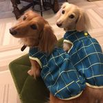 Profile Picture of matthew &tatum (@chunchunkun) on Instagram