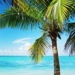 Profile Picture of Lauren Ferrone (@lalena_89) on Instagram