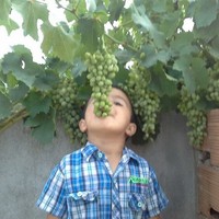 Profile Picture of Alami Chahbouni (@alami-chahbouni) on Quora