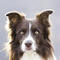Profile Picture of Caitlin Clay (@caitlin-clay-5) on Quora
