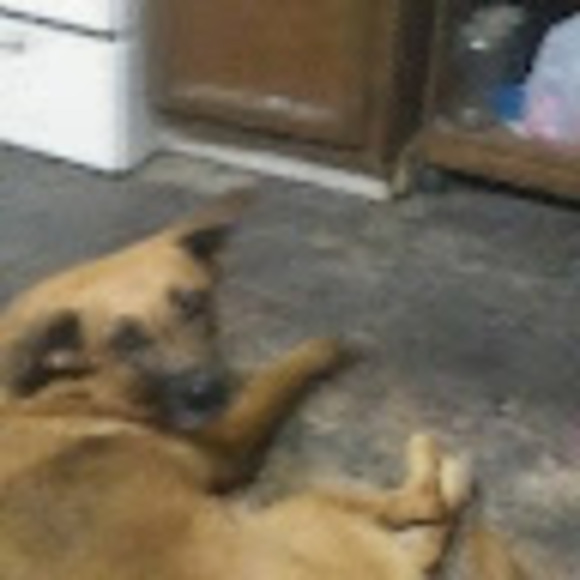 Profile Picture of Richard Otto (@rickyticky011) on Poshmark