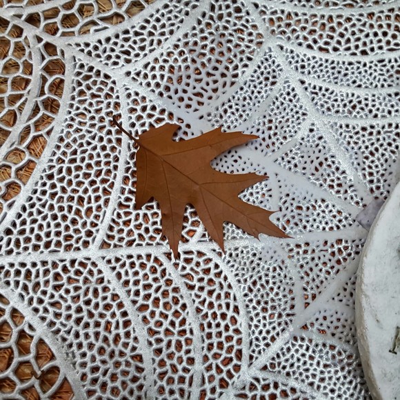 Sheryl Bechel - Poshmark Profile Picture of Sheryl Bechel (@sherylbechel) on Poshmark