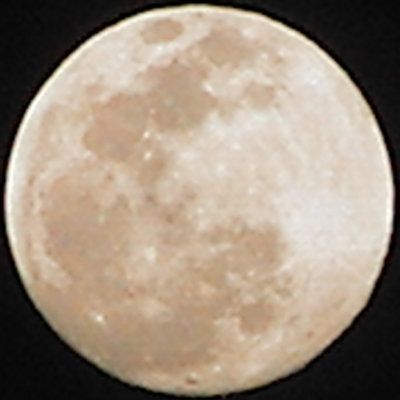 Profile Picture of Servando E. Alvarez (@salvarez_) on Twitter