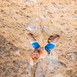 Profile Picture of Nathaniel Gunnulfsen (@gunnybunchesofoats) on Instagram