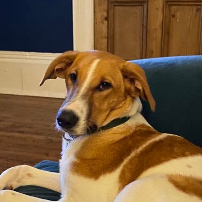 Profile Picture of Carol Midgley (@CarolMidgley) on Twitter